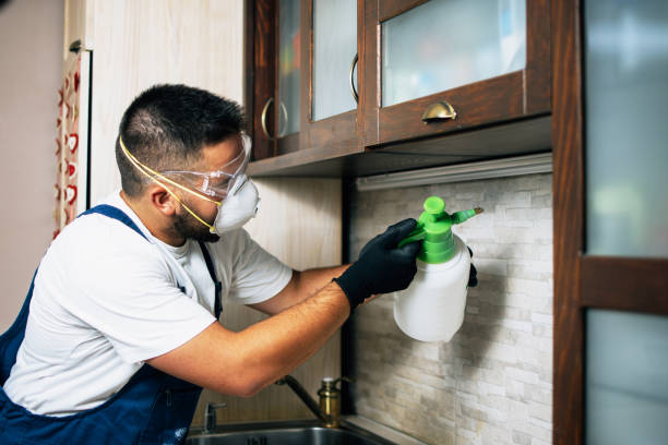 Best Wildlife Control Services  in Fredericksburg, TX