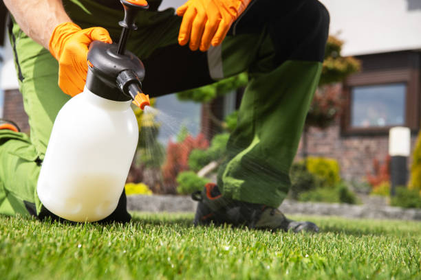 Best Mosquito Control Services  in Fredericksburg, TX