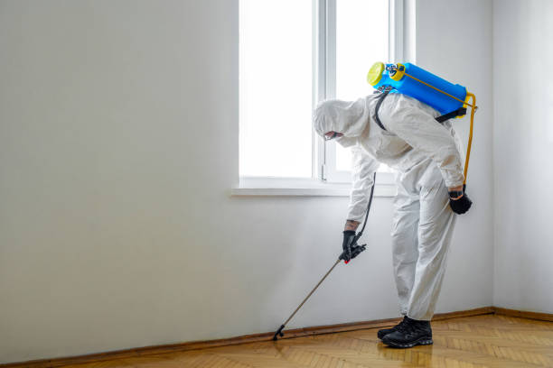Best Pest Prevention Services  in Fredericksburg, TX